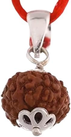 Astro CartAstro Cart 9 Mukhi Rudraksha Indonesian 9 Mukhi Indonesian Rudraksha Pendant Nau Mukhi Rudraksh Original 9 मुखी रुद्राक्ष Nine Face Rudraksh With Certificate Nine Mukhi Rudrakshas For Wear