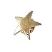 Forge Gold Star Lapel Pin- 1 Piece