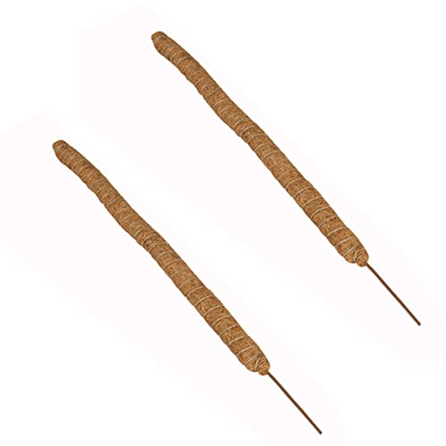 Bâtons de mousse flexibles pour plantes grimpantes - Fabriqués à la main pour les tiges d'intérieur - Plantes philodendron