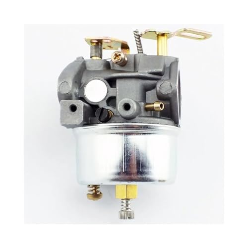 Carburateur AM134818 pour moteurs Tecumseh HM100 et HMSK100 de souffleuse à neige