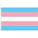 Produktbild UKFlagShop 5ft x 3ft (150 x 90 cm) New Transgender Gay Pride 100% Polyester Material Flag Banner Ideal For Pub Club Festival Busine