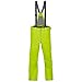 Produktbild Spyder Herren Skihose Dare GTX Limette (404) L