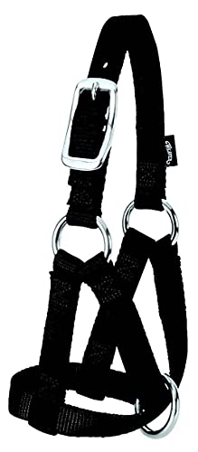 Weaver Leather Livestock Goat Halter, Black, 3/4-Inch