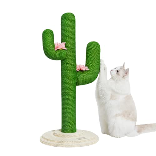 Habiba �L���b�g�c���[ �N���G�C�e�B�r�e�B �L���b�g�c���[ �T�{�e���L���b�g�X�N���b�`���[ �W���[�g�X�N���b�`�|�X�g�ƃp�b�h�ŉƋ��ی�A�w�̍����L���b�g�^���[ �����p