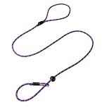 Dog & Field Pro Trialler Slip Leash, Purple. 4ft Rope Slip Leash for Dogs with Push Button Stopper, Easy to Slip On, No Collar Or Harness Needed. Thin Slip Leash for Dogs (Purple)