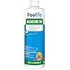Poolife Algaecide 90 (1 qt) (2)