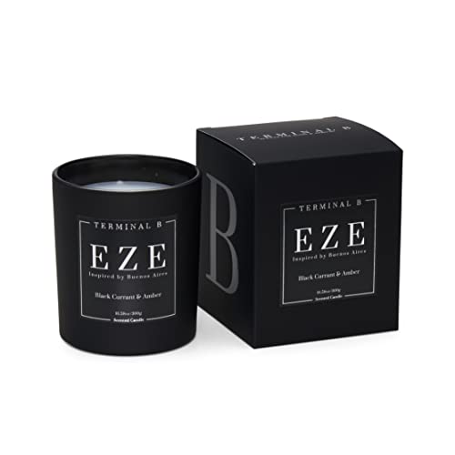 Terminal B EZE Duftkerze Schwarze Johannisbeere Bernstein 300 ml
