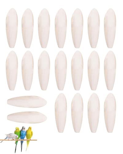 ZKUNL Lot de 20pcs de Seiche 4~5 cm pour Oiseaux, Tortues, Reptiles - Jouets à Mâcher Naturels pour Perroquets, Calmars et Animaux de Compagnie