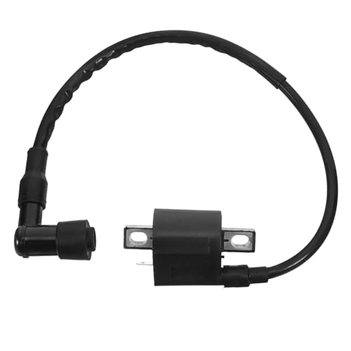 Bobina de encendido para moto, ATV y scooter: módulo de alta tensión resistente