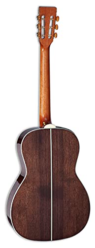 Takamine – New Yorker – Gloss Natural - Les Beatles, Paul McCartney, John Lennon, RIngo Starr, George Harrison Takamine - New Yorker - Gloss Natural – Image 3