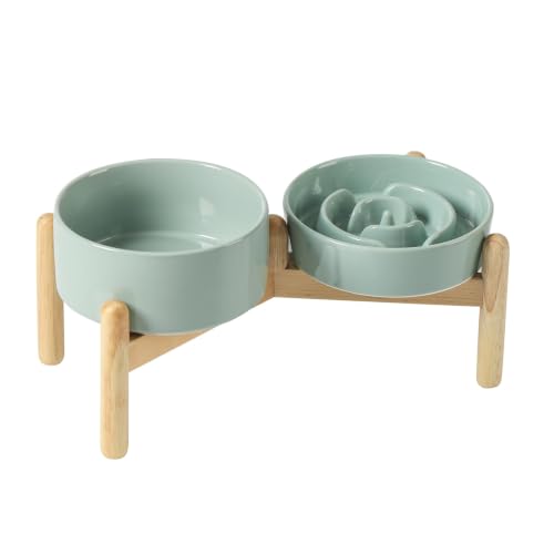 Havniva Elevated Slow Feeder Dog Bowls, 6.1 in Ceramic Slow Feeder Bowl Set