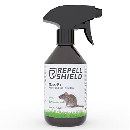 The BEST Mouse & Rodent deterrents for Motorhomes, RVs and Campers ...