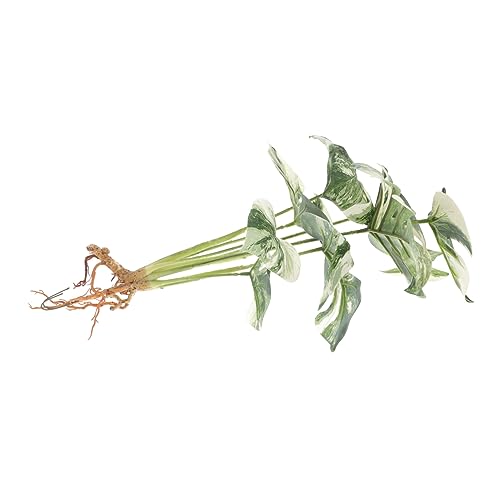 CIMAXIC lHXeϖՐtFCNvg A p ƒp RpNgTCY rO ItBX Ԃ炸̔