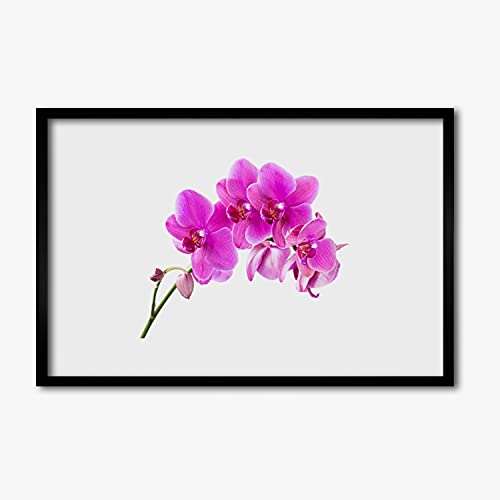 Affiche encadrée fleur d'orchidée 60x40 cm Tulup cadre MDF pour déco murale