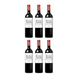 Famille Saby Château Hauchat Saby trocken Rotwein Frankreich inkl. FeinWert E-Book (6 x 0.75 l)