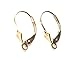 One Pair Of 14K Solid Gold leverbacks Accessory To Use With any Earrings