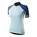 Dare 2b Womens/Ladies Flutter Jersey (14 US) (Element Grey/Aquifer/Moonlight)