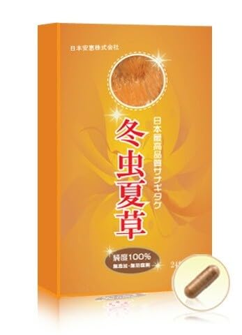 日本安惠 冬虫夏草 300mg×24粒