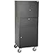 Global Industrial Fold Out Computer Security Cabinet, Mobile, 5