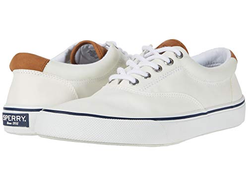 Image of Sperry Men's Striper II CVO Sneaker