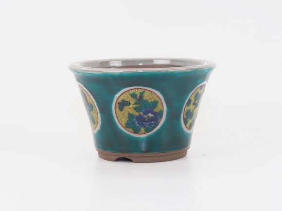 Amazon.co.jp: 盆栽鉢 九谷焼 松竹梅 4号 幅12.5cm×高さ7.8cm 陶器鉢