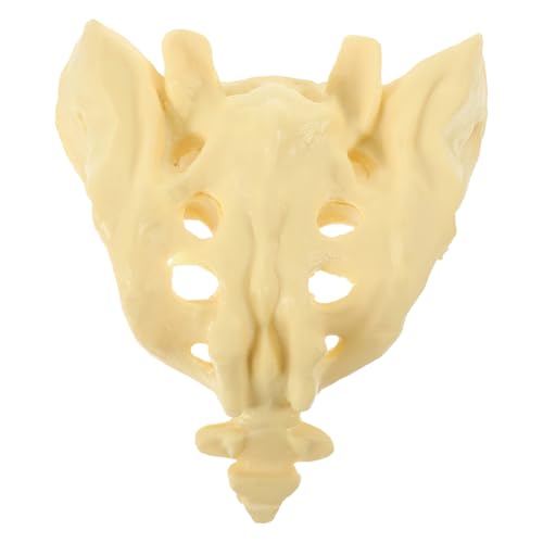 Modèle anatomique étudiant POPETPOP en PVC lisse taille réelle pour infirmiers