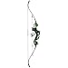 AMS Bowfishing Water Moc Recurve Bowfishing Kit