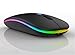 Wireless Bluetooth LED Mouse Rechargeable – Silent Slim Ergonomic RGB Mouse for Laptop, PC, Tablet – Dual Mode 2.4G & Bluetooth, Type-C Charging – Black