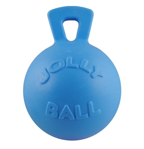 Jolly Pets Tug-n-Toss Heavy Duty Dog Toy Ball with Handle 8 Inches/Large Blueberry