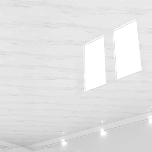 ByteRunning Dalle De Plafond,Plaque pour Plafond Salle De Bain A Coller,Panneaux De Plafond Autocollants,LéGer Et Flexible,Peut êTre Coupé,pour Bureaux,Magasins,Ateliers
