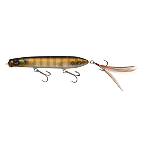 Daiwa matériel de pêche carnassier eau douce lancer longue distance