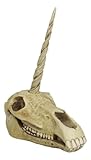 Ebros Ancient Fossil Unicorn Skull Statue Rare Mythical Creature Skeleton Model Great Gift for Archaeologists Excavation Adventurers and Collectors