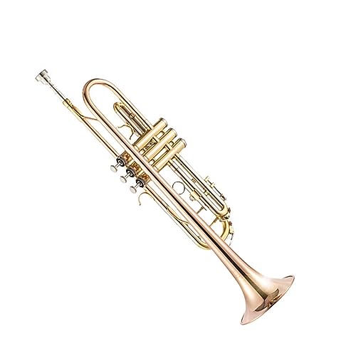 Selva ミニトランペット ゴールド フルセット Selva ミニトランペット ゴールド フルセット