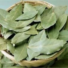 أوراق الغار 125 جرام