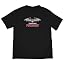 Transylvania University/B/Primary Logo/Yt