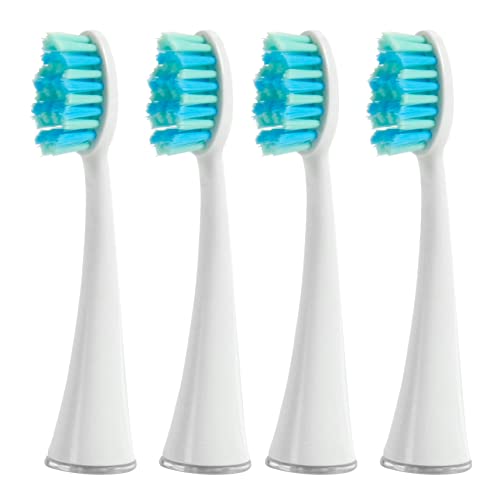 10 Best 10 Burst Toothbrush Heads 10 of 2022