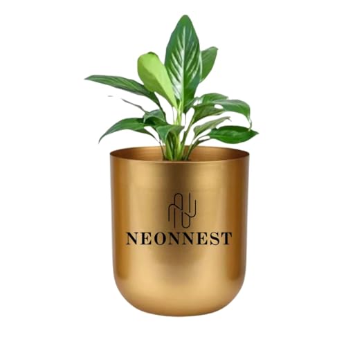 Neonnest® 4.3 inches Round Metal Planter for Home Decor, Pack of 1 (Golden) (1)