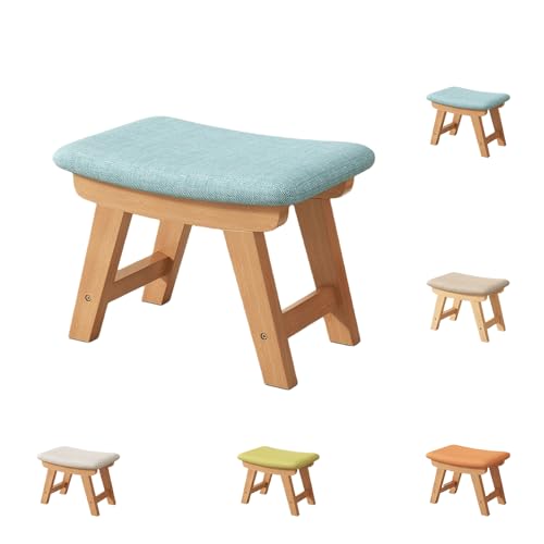 LIVIA{ł̋V{̍sAG̎アlɓK (u[)