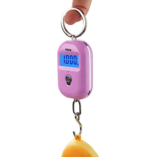Poids poche balance cuisine steelyard électronique 25kg 5g mini balance numérique pêche