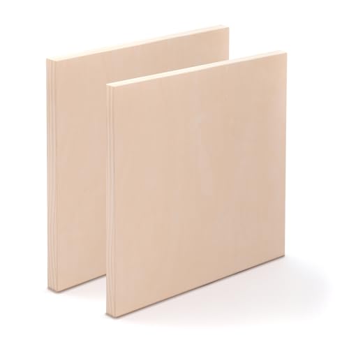 2x FOND DE PEINTURE EN BOIS 50x50 cm | Bois de bouleau naturel | Profondeur 3,8 cm | Tableau de peinture, fond de peinture en bois, toile en bois de bouleau,...