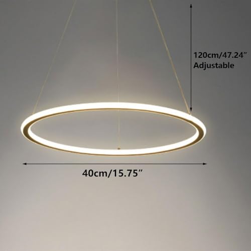 Luminaire d'éclairage suspendu circulaire à intensité variable pour maison - 2