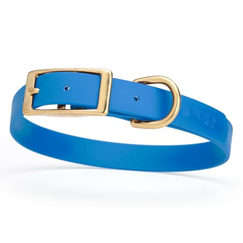 Image of Viper Biothane Heavy Duty Waterproof Dog Collar Strong Coated Nylon Webbing w /Solid Brass Hardware Odor-Proof Easy to Clean High Performance Fits Small Medium or Large Dogs, Cerulean Blue