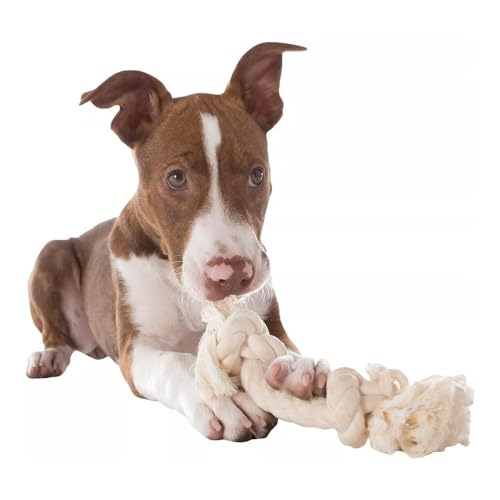 3 PCS Keep Your Pup Happy and Healthy Mammoth Flossy Chews Natural Cotton Rope Dog Toys Dog Toys Dog Rope Toys Dog Chew Toys Mammoth Flossy Chews 3 PCS Keep Your Pup Happy and Healthy Mammoth Flossy Chews Natural Cotton Rope Dog Toys Dog Toys Dog Rope Toys Dog Chew Toys Mammoth Flossy Chews