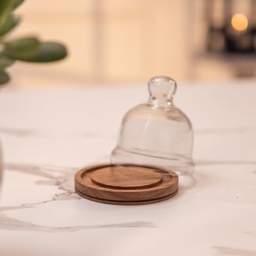 Image of Nibble Nest Acacia Wood Cake Stand with Glass Dome | Wooden Dessert Display Stand for Cakes, Pastries, Cupcakes & Cookies