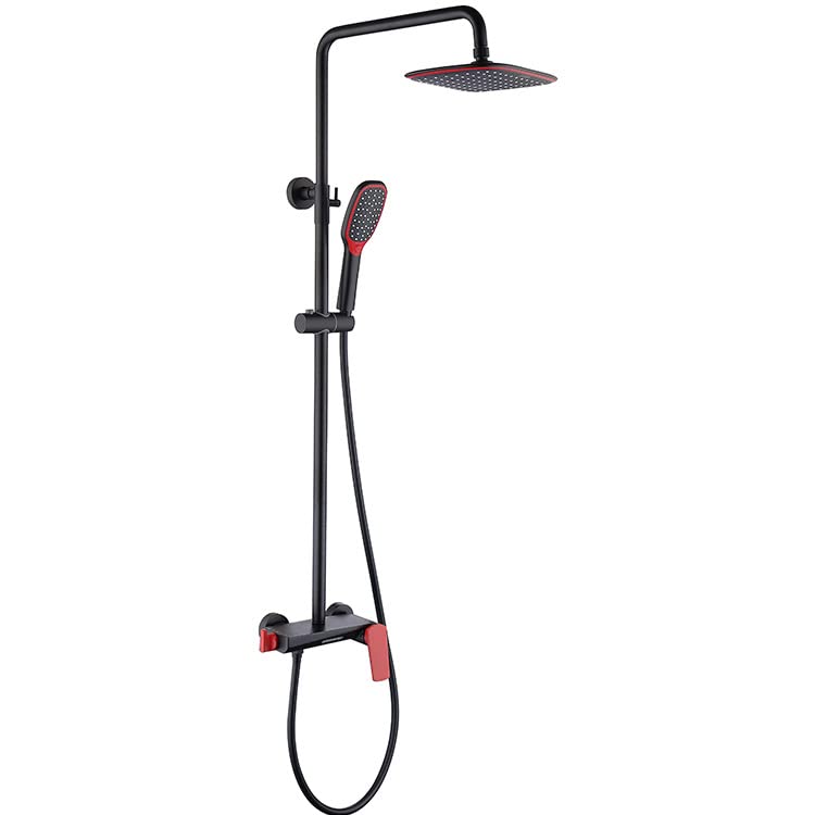 Ensemble de shower haut de gamme avec tête pluie et jet à main