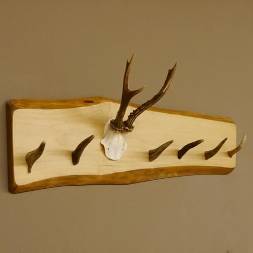 GTK - Geweihe & Trophäen KRUMHOLZ Geweih Garderobe mit 6 Haken aus Hirschspitzen auf Holzbrett Rehgeweih Wandgarderobe Unikat 27.8.99