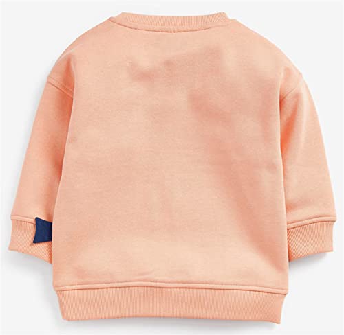 HOMAGIC2WE Toddler Boys Sweatshirts Kids Fall Cotton Long Sleeve Crewneck Casual Cartoon Pullover Loose Soft Outfit Shirt2