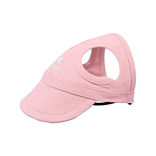  Xq Lbv  싅X Ăh~ O΍ ^ ^ ^ hbNEFA C o U (sN,S)