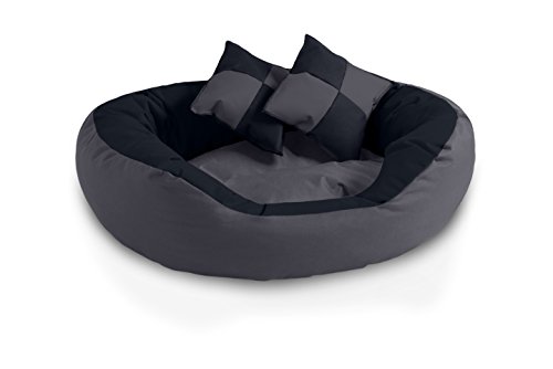 BedDog® 4en1 Saba Antracita/Gris L Aprox. 65x50cm colchón para Perro, 7 Colores, Cama, sofá, Cesta para Perro