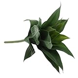 Plantes artificielles pour chambre à coucher - la fausse plante convient à votre salon, bureau, cuisine, chambre, salle d'étude, bureau à , etc. plantes en plastique réalistes